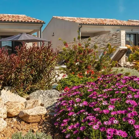 De 2 Chambres A Palasca A 100 M De La Plage Avec Piscine Privee Jardin Amenage Et Wifi Villa *
